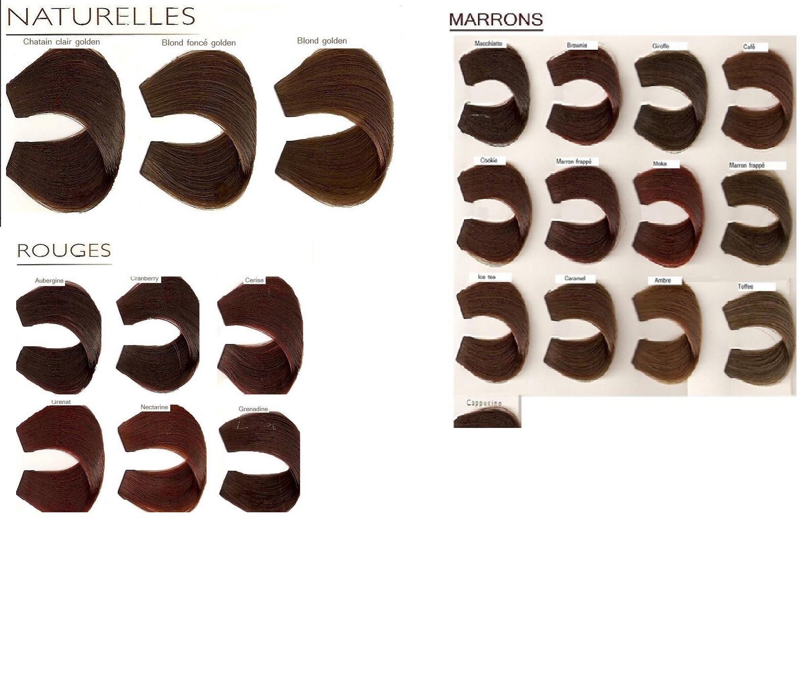 nuancier diacolor.jpg