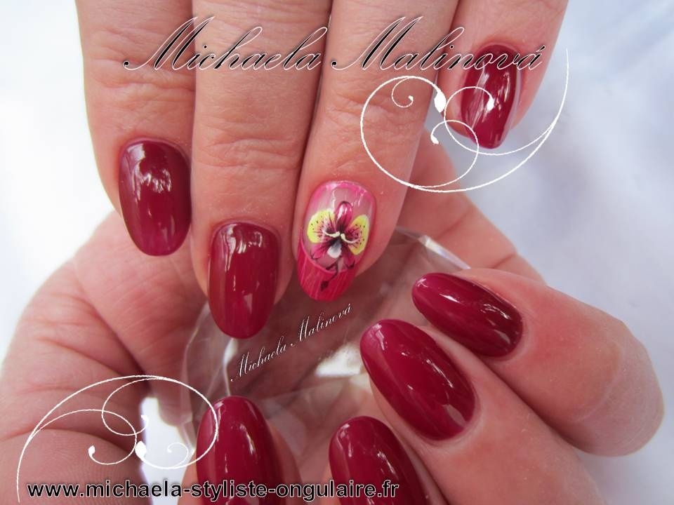 Orchidey tm.cervena.jpg