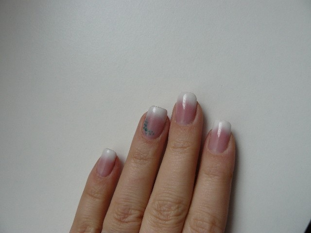 P1060179 Affichage Web grand format.jpg