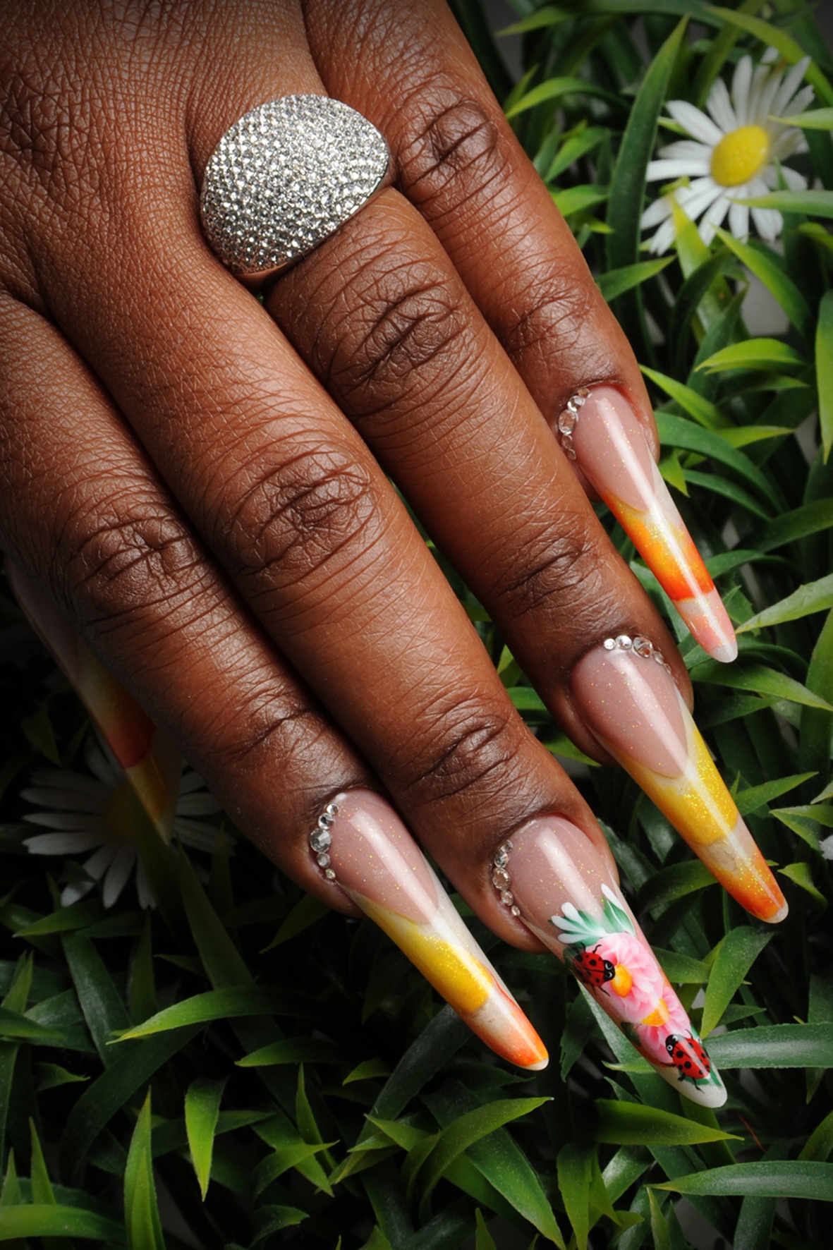 paquerette copie.jpg