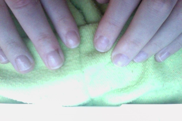 Photo du 06-12-12 à 16.55.jpg