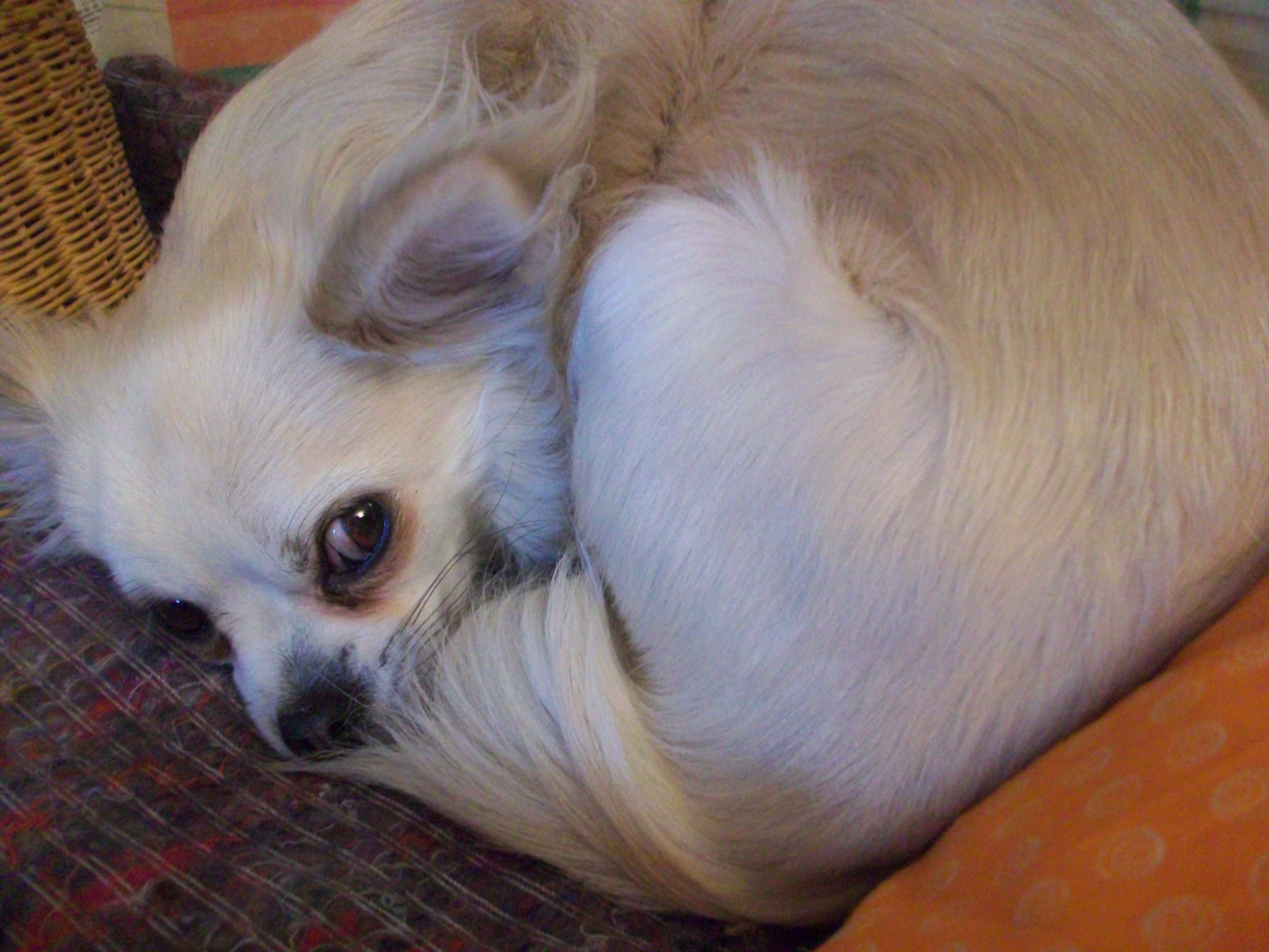 photos 1er MARS 2014 120.jpg