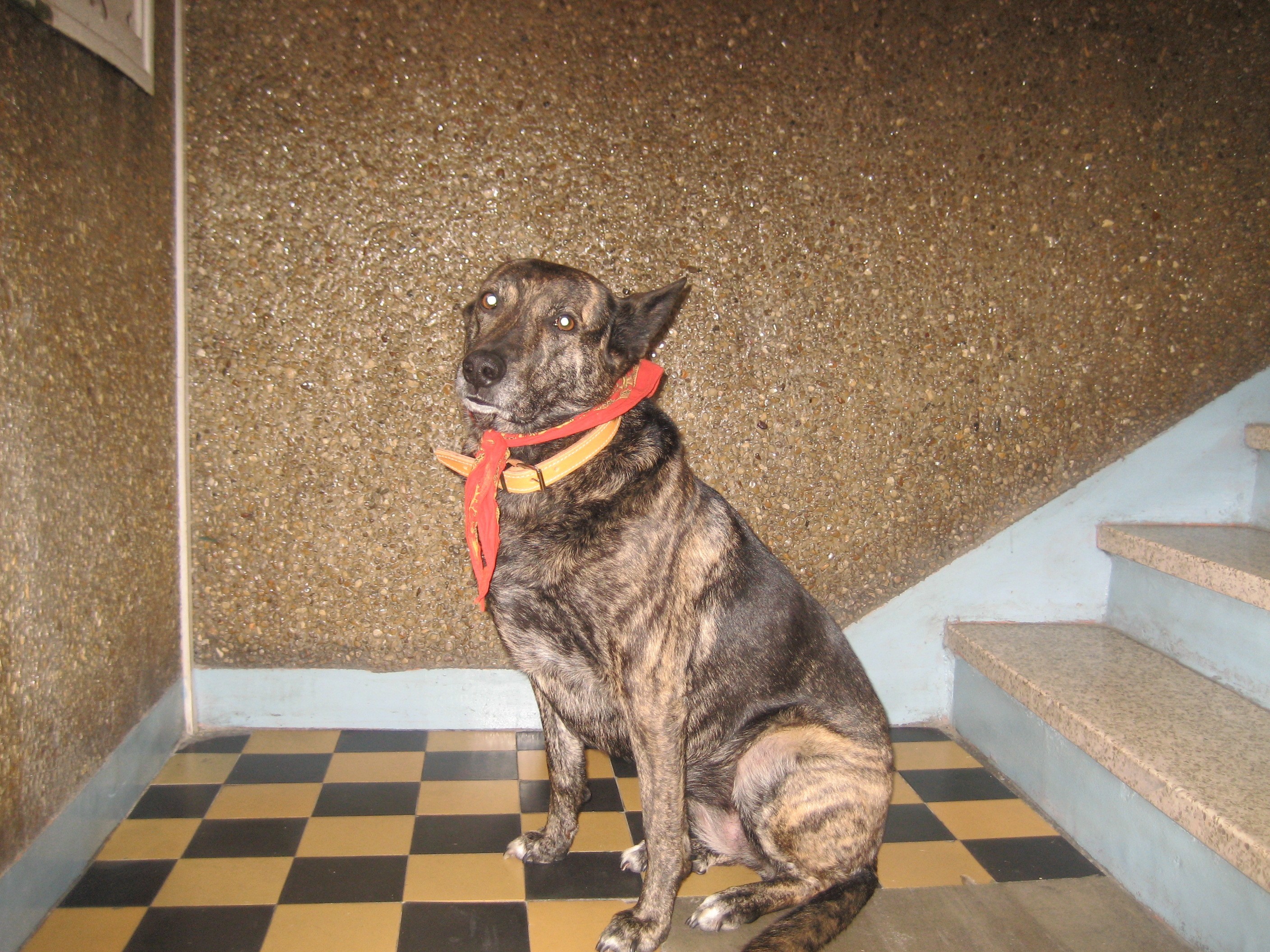 photos du bateaux et objets Ebay 144.jpg