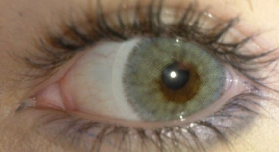 quartzo sur marron1.jpg