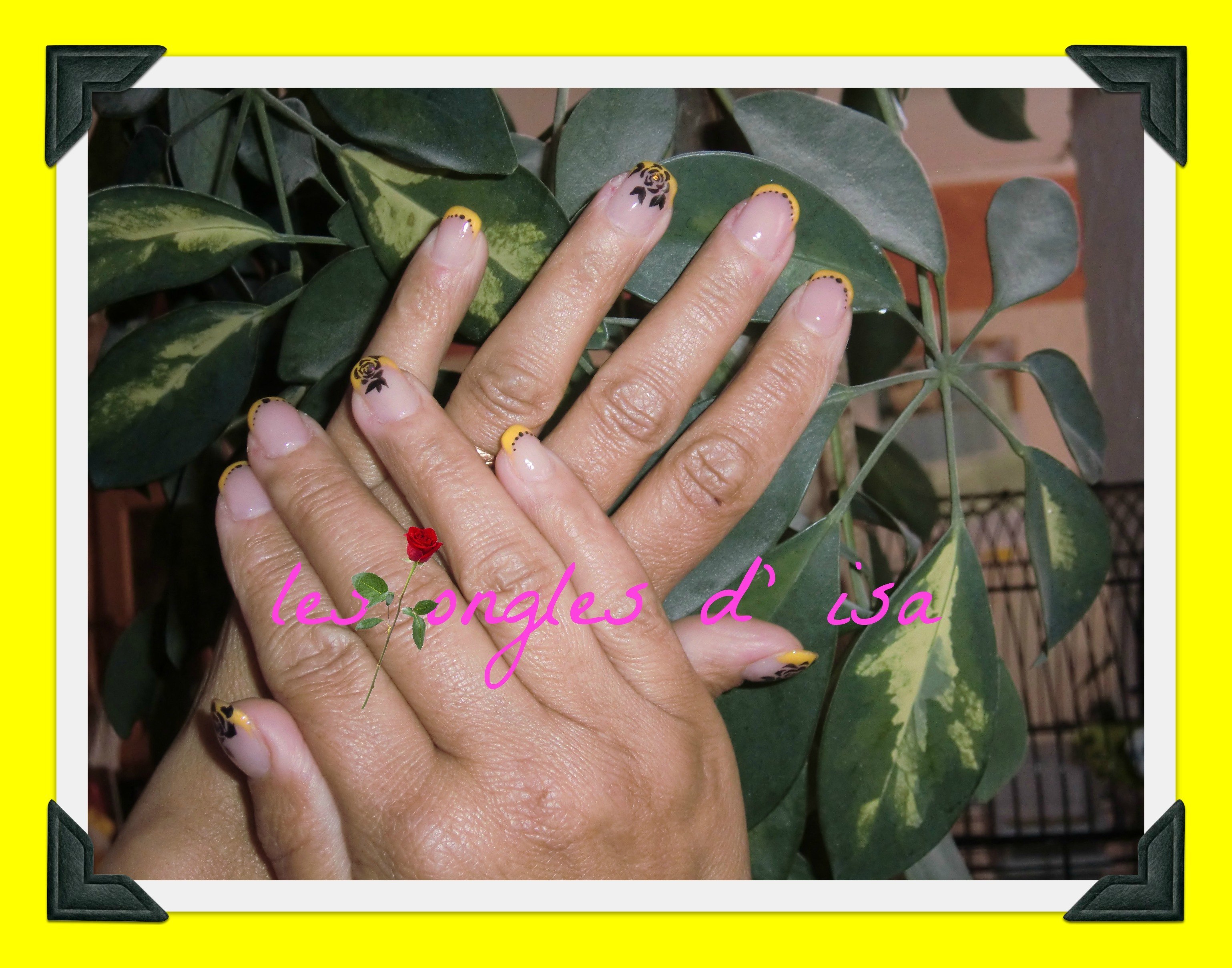 rose jaune sur anne (2).jpg