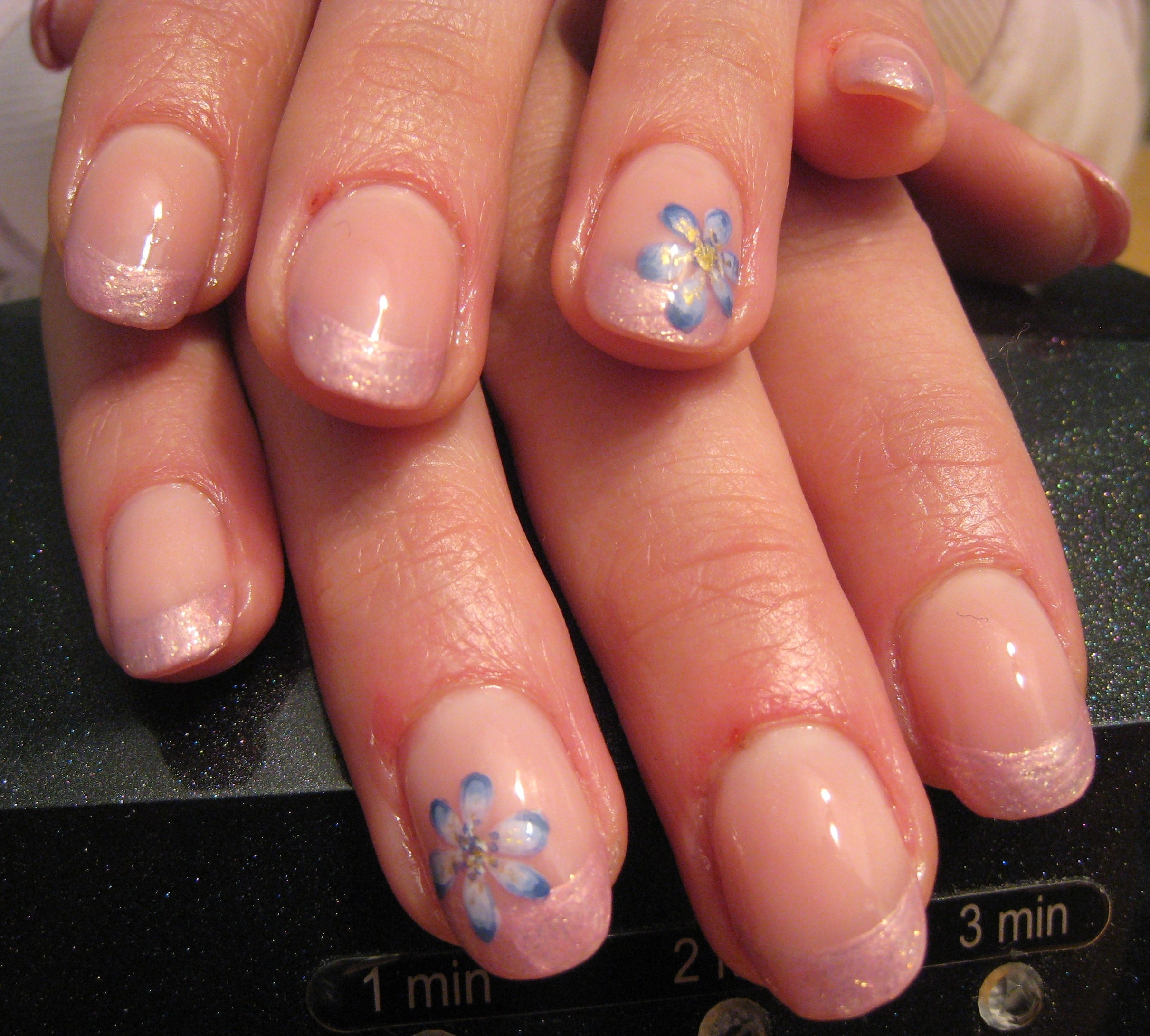 roza nagi 004 - Copie.JPG