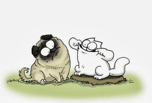 simon's cat.jpg