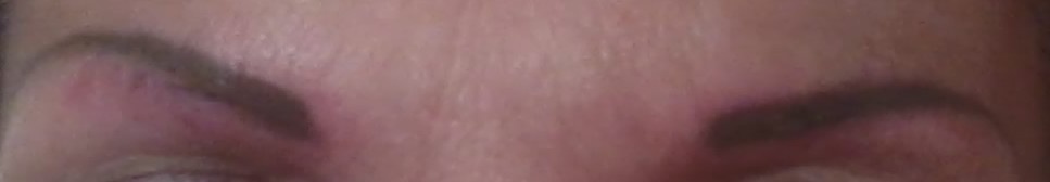 sourcil 1.jpg