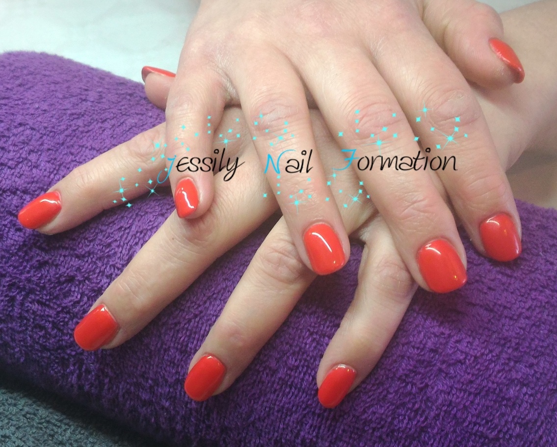 Stephanie kuhn (1).jpg