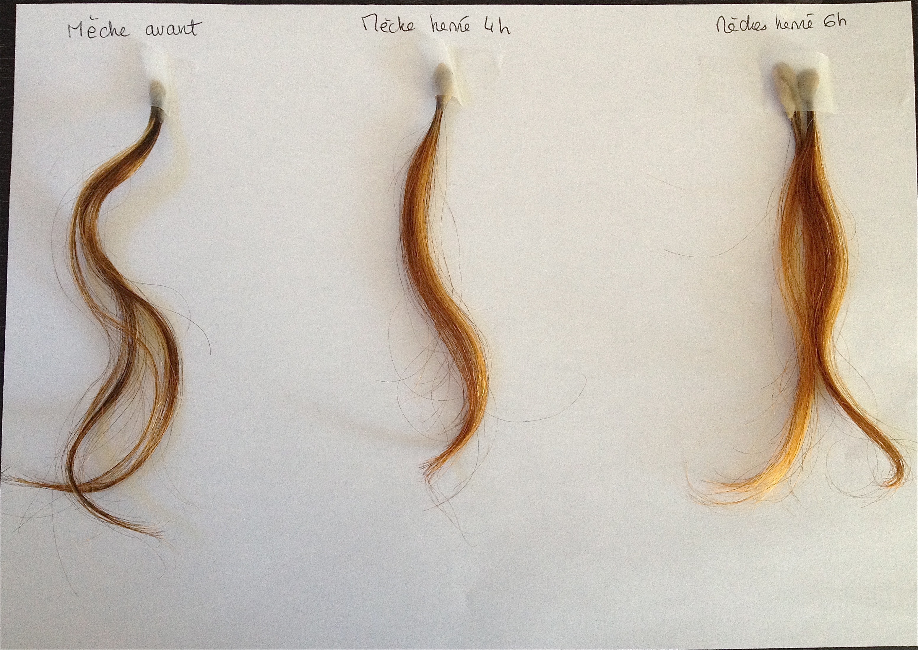 test henné à l'ombre.jpg