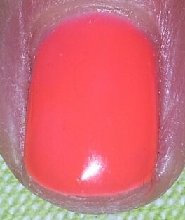 tiki tiki neaon harmony VP.jpg