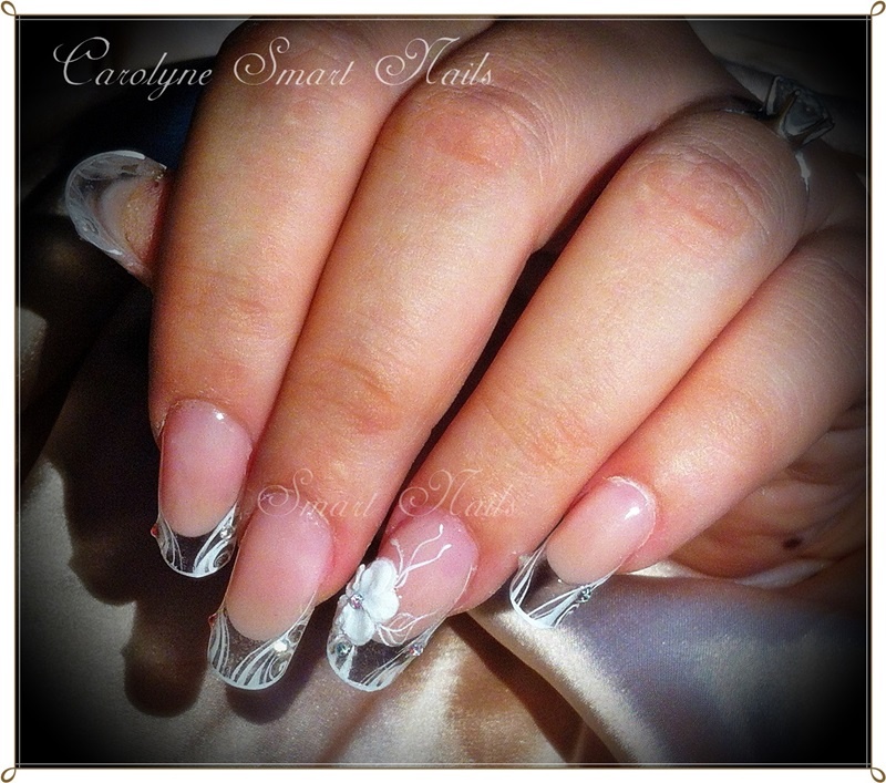 tranpa modifiee forum.JPG