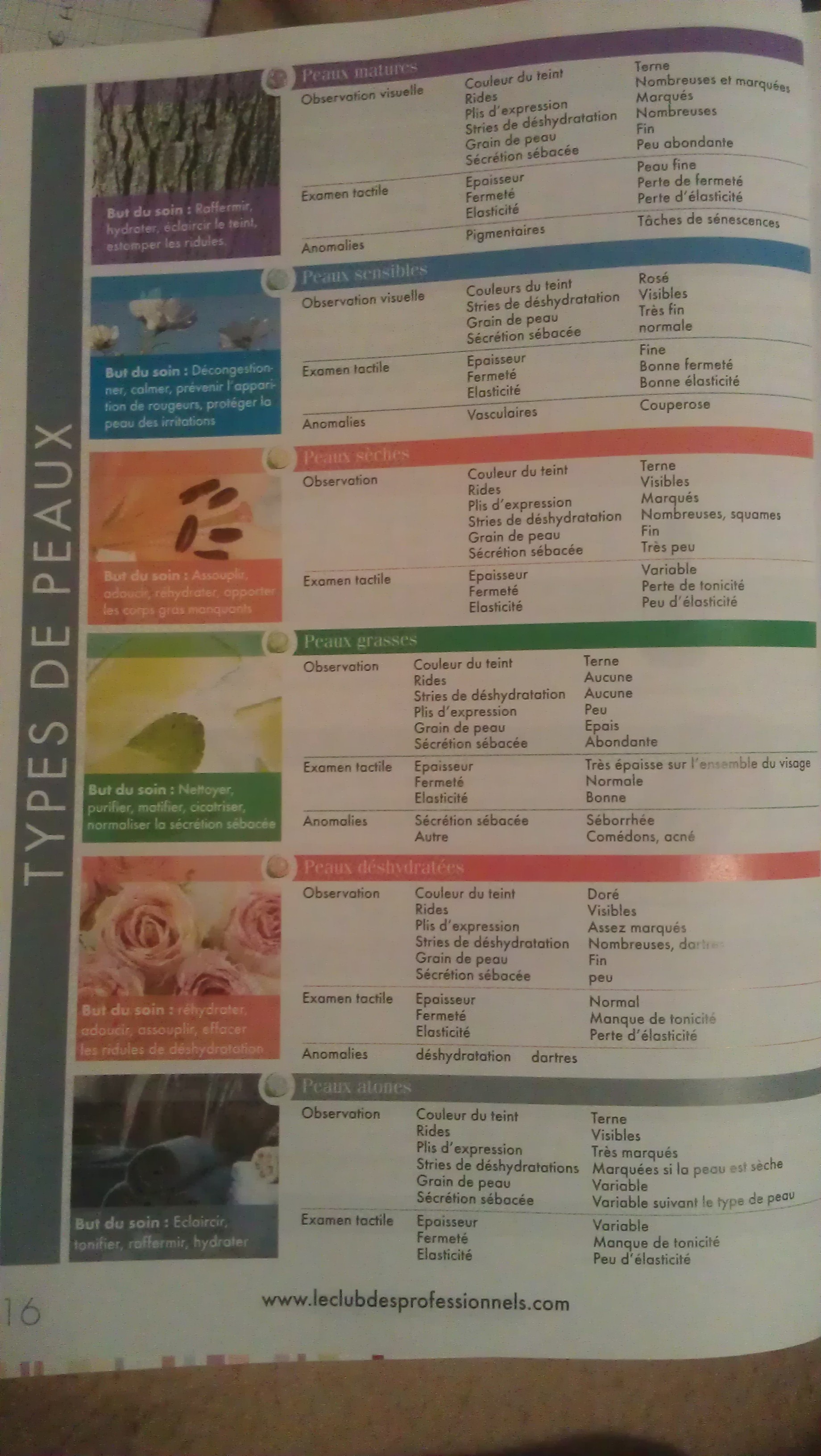 type de peaux.jpg