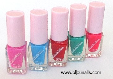 vernis lot.jpg