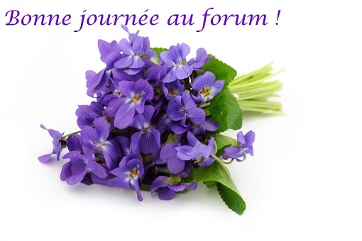 violettes forum.jpg