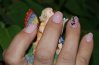 DSC01492.jpg