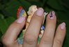 DSC01493.jpg
