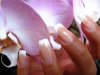 ongle 014.jpg