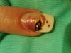 IMG00098-20090529-2339.jpg