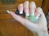 100_0484.jpg