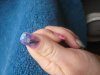 essai gels 018.jpg