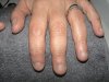 DSC00402.jpg