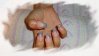 eli modif 2.jpg