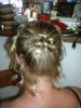petit_chignon_avec_boucles_2009_(1).jpg