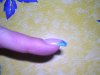 DSCN0403.jpg