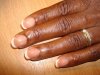 dsc08984f.jpg