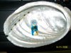 100_2210.jpg