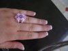 DSC02227.jpg