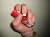DSC01839.jpg