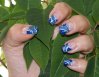 DSC01589.jpg