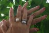 DSC01584.jpg