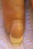 DSC00832.jpg