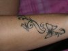 PICT0367.jpg