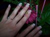 100_2753.jpg