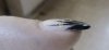 DSC00867.jpg