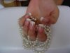 DSC03018.jpg