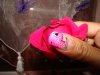 DSC04308.jpg