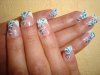 DSC01317.jpg