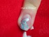FOTO ONGLE 006.JPG