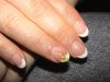 DSC00452.jpg