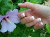 DSCN1528.jpg