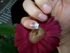 100_2766.jpg