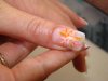 DSC04343.jpg