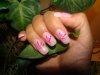 DSC04442.jpg