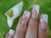 DSC04520.jpg