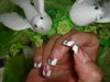 DSC04512.jpg